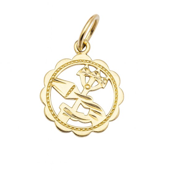 Stříbrný zlacený přívěs zvěrokruh Vodnář kytička