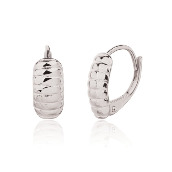 Náušnice JVD SVLE3393XJ60000 stříbrné