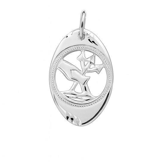 Stříbrný přívěs zvěrokruh Vodnář prořezávaný ovál