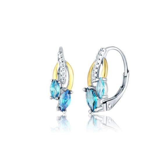 Náušnice JVD SVLE0869SH2GT00 stříbrné