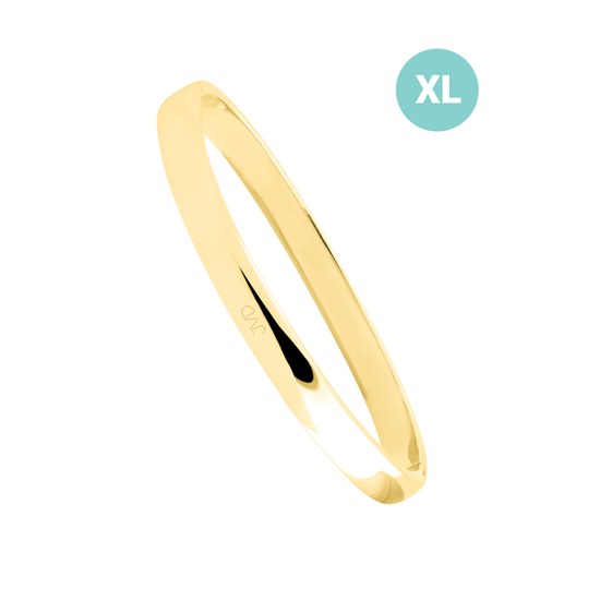 Náramek JVD JGB6GXL nerez ocel