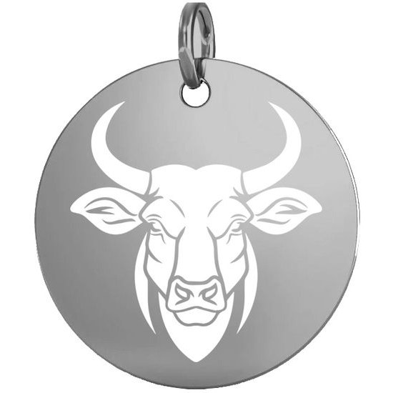 Stříbrný přívěsek zvěrokruh býk 15 mm