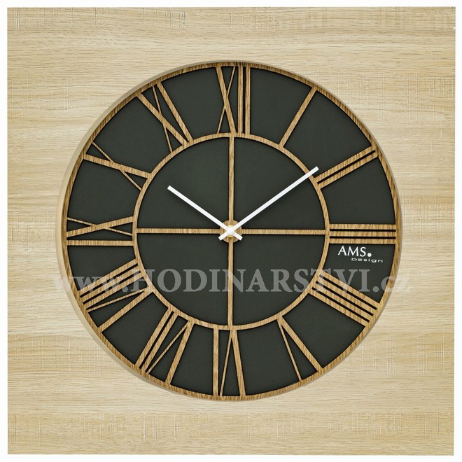 Hodiny AMS 9641