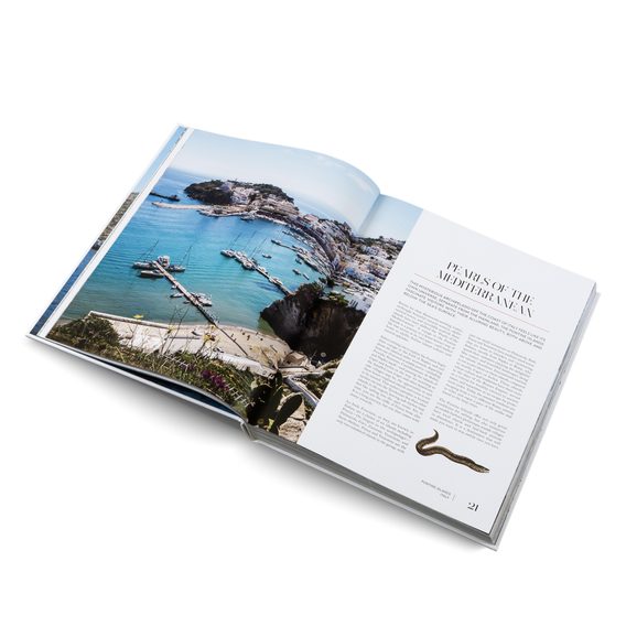 Sailing the Seas: La guida del marinaio agli oceani