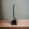 Roswell black acrylic Cricket trophy