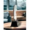 Ostrava Fisching Pike Trophy