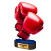 Altus Color Boxing Trophy