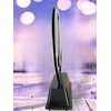 Onyx Stainless Steel Badminton Trophy