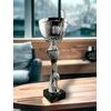 Almena Silver Cup