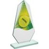 Levita Padel Color Glass Award