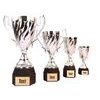 Ferdinand Silver Cup Trophy