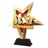 Star Performer Trophy