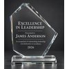 Benito Jade Crystal Award