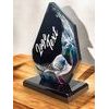 Destin Pigeon Racing Acrylic Award