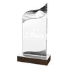 United Acrylic Wood Classic Baseball Trophy