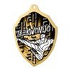 Molten Stainless Steel Taekwondo Classic Medal