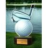 Altus Color Golf Trophy