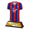 Soccer Shirt Custom Made Acrylic Award