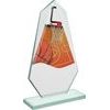 Levita Basketball Color Glass Award