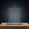 Tinnie Star Crystal Award