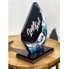 Destin Pigeon Racing Acrylic Award