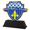 Soccer Custom Club Logo Acrylic Trophy