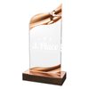 United Acrylic Wood Gymnastic Trophy