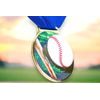 Sacul Baseball Color Texture 3D Print Medal