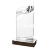 United Acrylic Wood Ballet Trophy