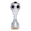Houston Soccer Trophy