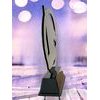 Onyx Stainless Steel Chess Trophy