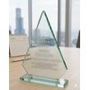 Snyder Jade Crystal Award