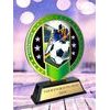 Sentinel Stainless Steel Soccer Trophy