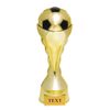 Houston Soccer Trophy