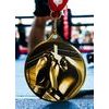 Barnet Boxing Classic Texture 3D Print MaxMedal