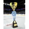 Provo Ice Hockey Gold Trophy