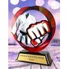 Onyx Stainless Steel Martial Arts Trophy