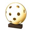 Sierra Classic Floorball Ball Real Wood Trophy