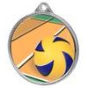 Volleyball Color Texture 3D Print Silver Medal