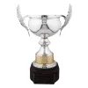The Mayfair Silver Cup
