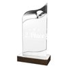 United Acrylic Wood Classic Volleyball Trophy