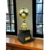 Sealy Tower Gold and Silver Soccer Trophy