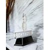 Pony Custom Made Acrylic Award