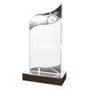 United Acrylic Wood Classic Running Trophy