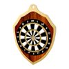 Molten Stainless Steel Darts Classic Medal