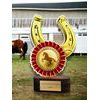 Altus Color Horse Trophy