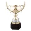 The Mayfair Gold Cup