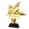 Attendance Award Star Trophy