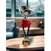 Napoli Boxing Silver Cup Trophy