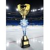 Provo Ice Skating Gold Trophy
